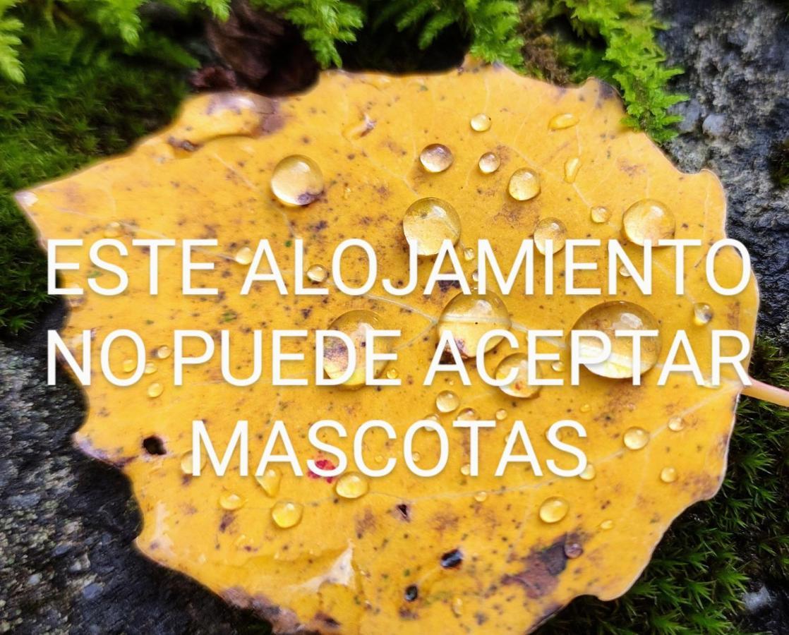 Pleta del Mont Atico Benasque Exterior foto